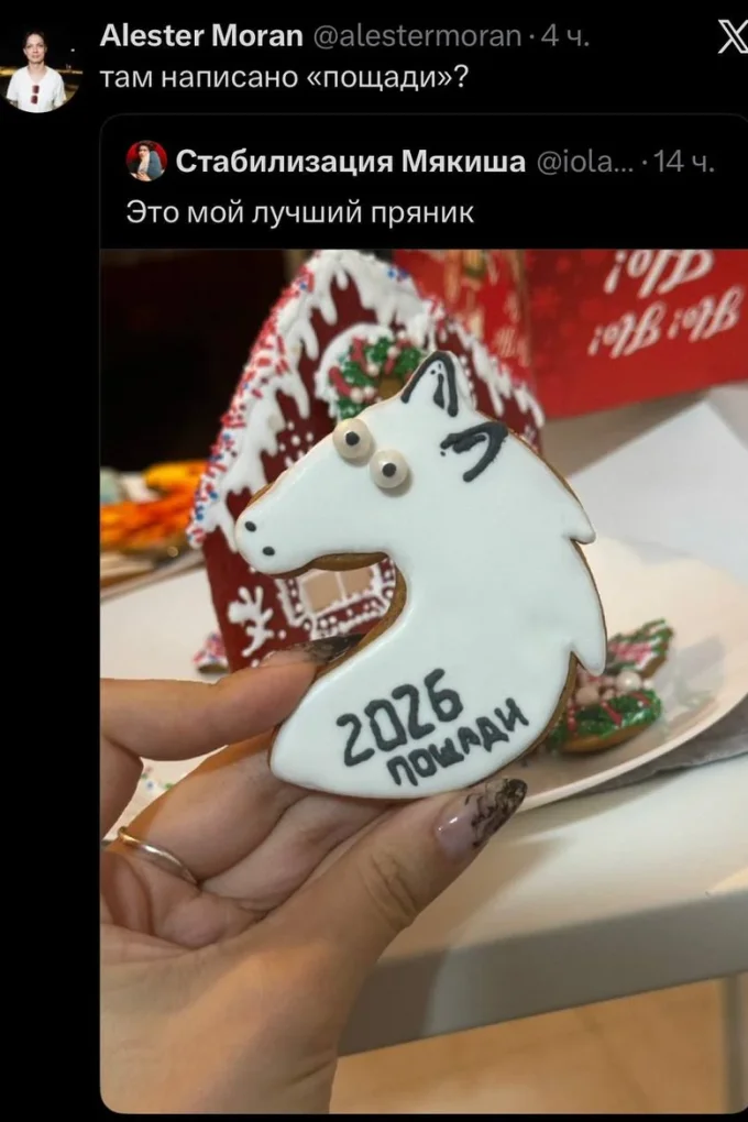 Пряник в форме головы лошади: белая глазурь, две круглые сахарные «глаза», черный контур ушей, надпись «2026 пощади», на фоне пряничный домик.