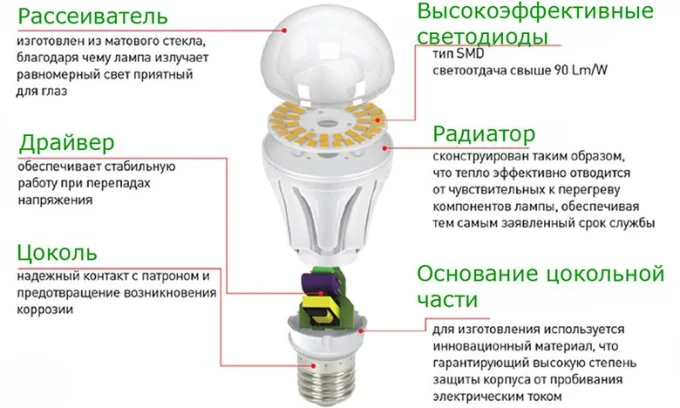 Фото: infourok.ru