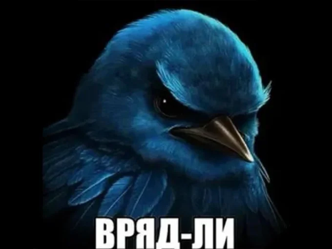 Синяя птичка смотрит в кадр. Надпись на картинке «Вряд-ли»