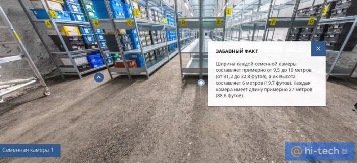 Семенная камера 1. Источник: seedvaultvirtualtour.com